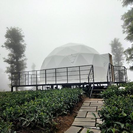 Vythiri Tea Valley I Best Hotel In Wayanad L Hotels In Vythiri Wayanad ภายนอก รูปภาพ