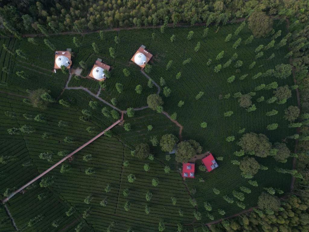 Vythiri Tea Valley I Best Hotel In Wayanad L Hotels In Vythiri Wayanad ภายนอก รูปภาพ