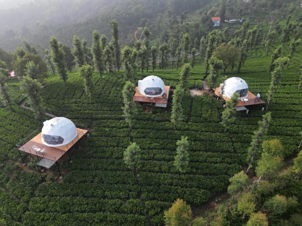 Vythiri Tea Valley I Best Hotel In Wayanad L Hotels In Vythiri Wayanad ภายนอก รูปภาพ