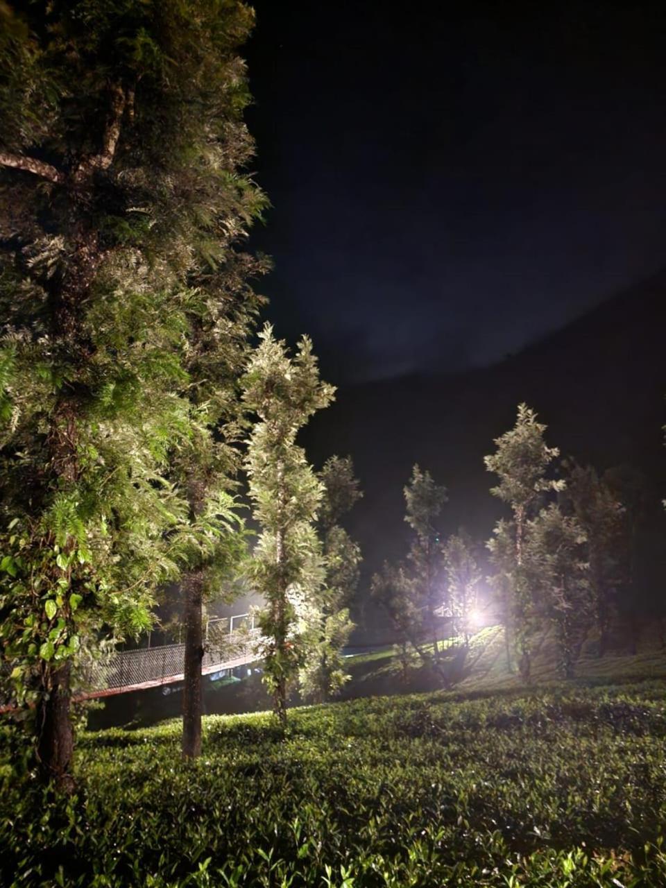 Vythiri Tea Valley I Best Hotel In Wayanad L Hotels In Vythiri Wayanad ภายนอก รูปภาพ