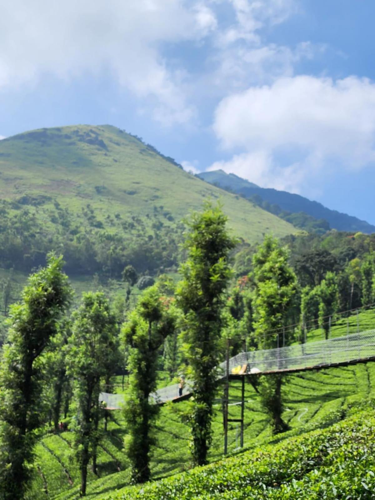 Vythiri Tea Valley I Best Hotel In Wayanad L Hotels In Vythiri Wayanad ภายนอก รูปภาพ
