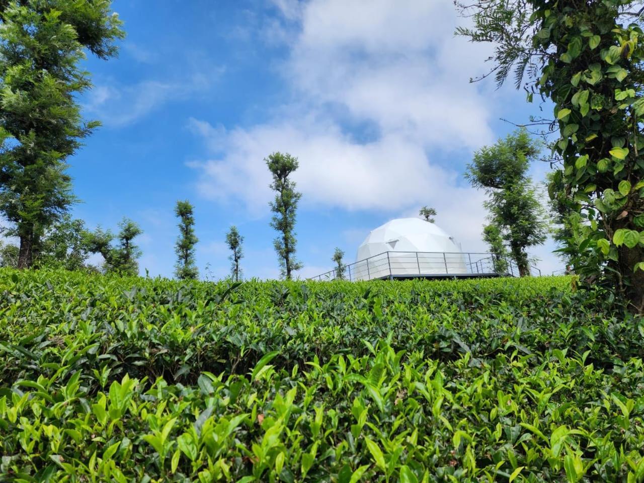 Vythiri Tea Valley I Best Hotel In Wayanad L Hotels In Vythiri Wayanad ภายนอก รูปภาพ
